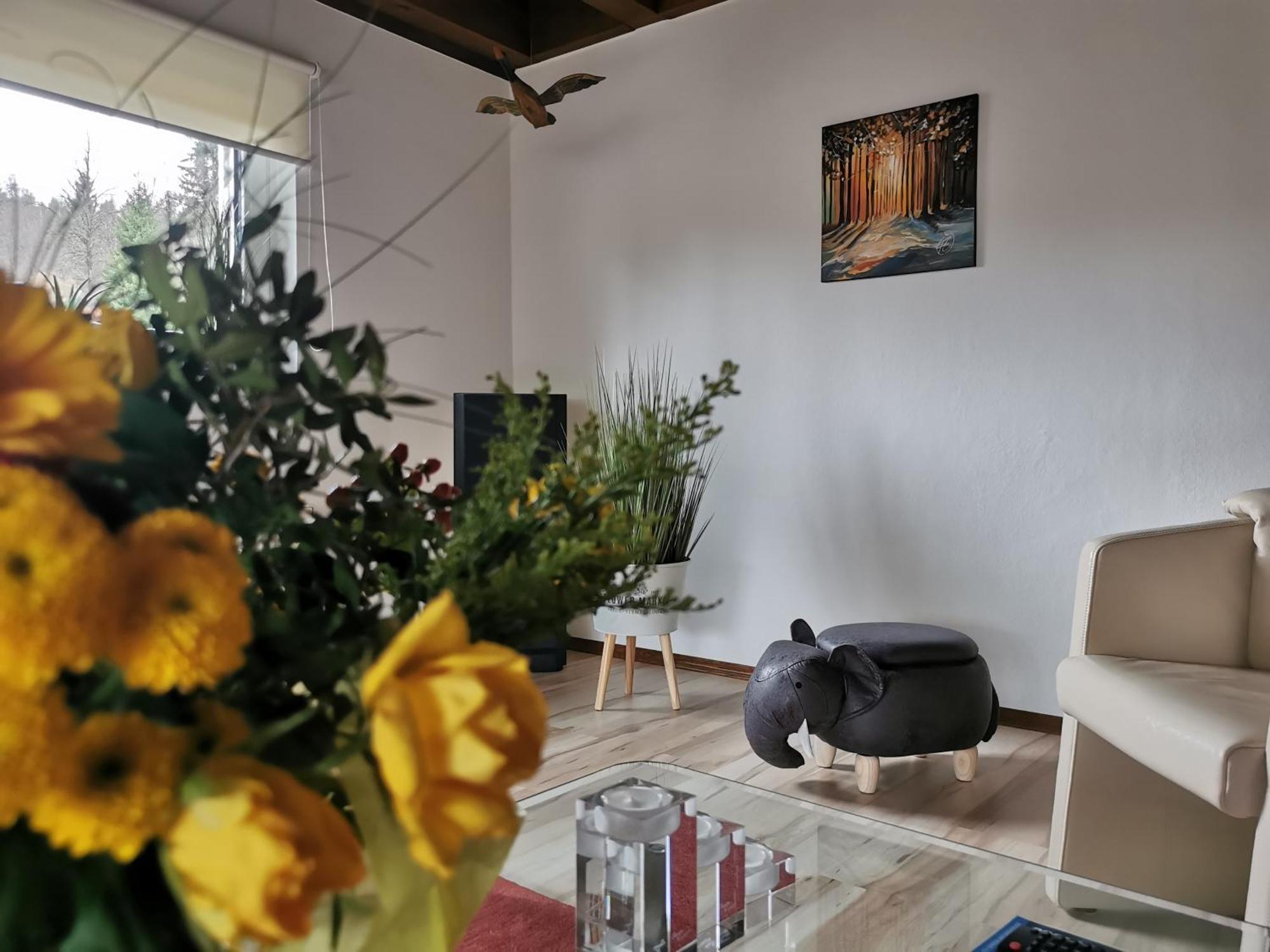 Ferienhaus Aanthuus Brilon Luaran gambar